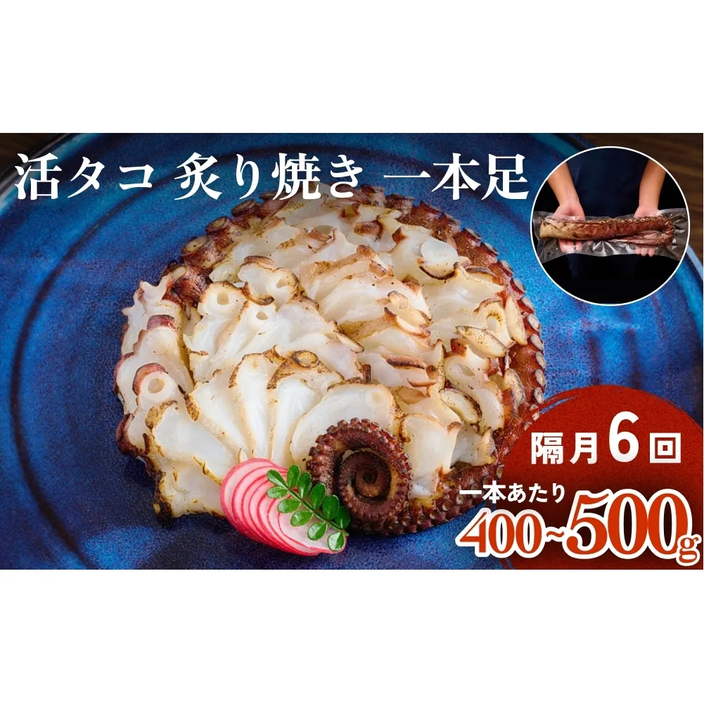 活タコ 炙り焼き 一本足 定期便 隔月 6回 タコ たこ 直火焼き おかず おつまみ 蛸 刺身