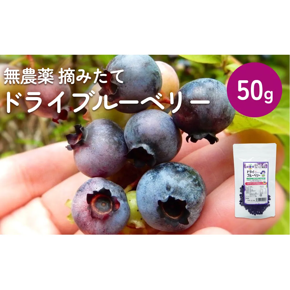 ＜ 先行予約 ＞ ドライブルーベリー 50g 無添加 摘みたて 砂糖不使用 ノンオイル ドライフルーツ
