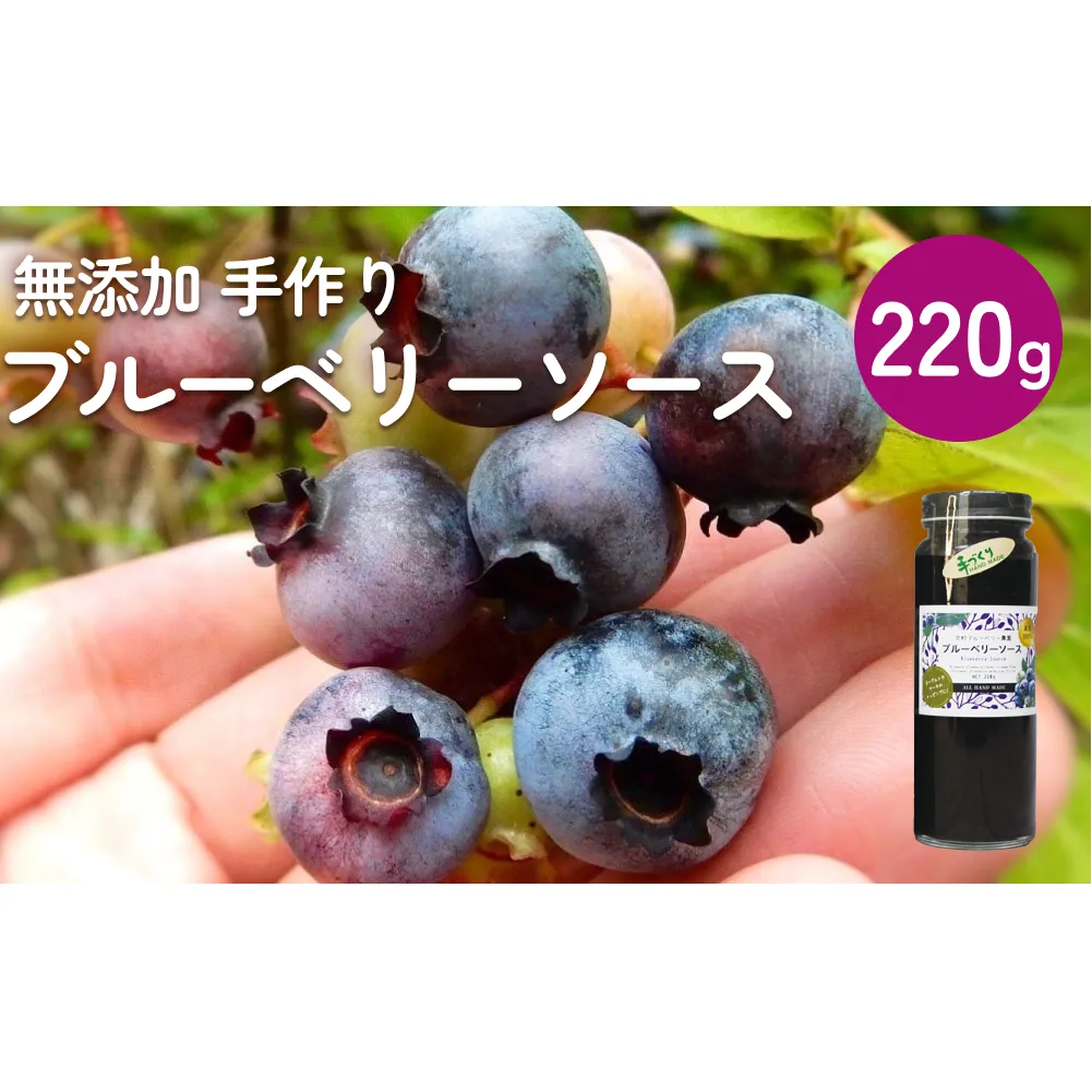 ＜ 先行予約 ＞ ブルーベリーソース 220g 無添加 手作り フルーツソース 果実 さっぱり
