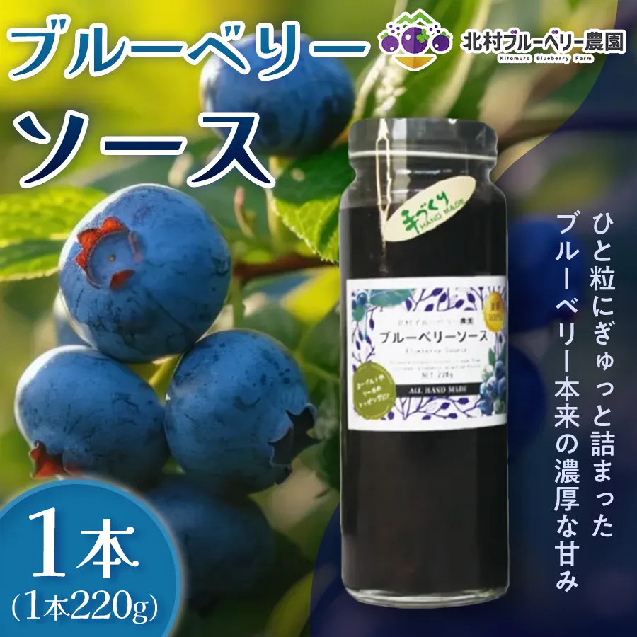 ブルーベリーソース 220g 無添加 手作り フルーツソース 果実 さっぱり