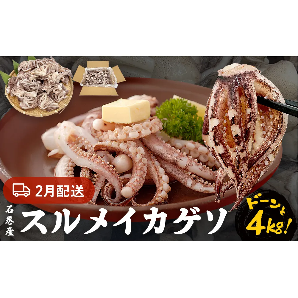 訳あり 石巻産スルメイカゲソ 4kg 2月配送 冷凍 国産 いか 下足 おつまみ ゲソ天 焼イカ おかず