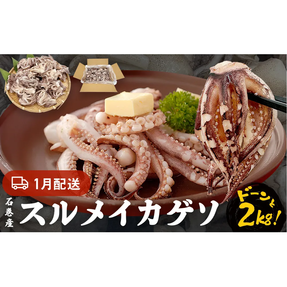 訳あり 石巻産スルメイカゲソ 2kg 1月配送 冷凍 国産 いか 下足 おつまみ ゲソ天 焼イカ おかず
