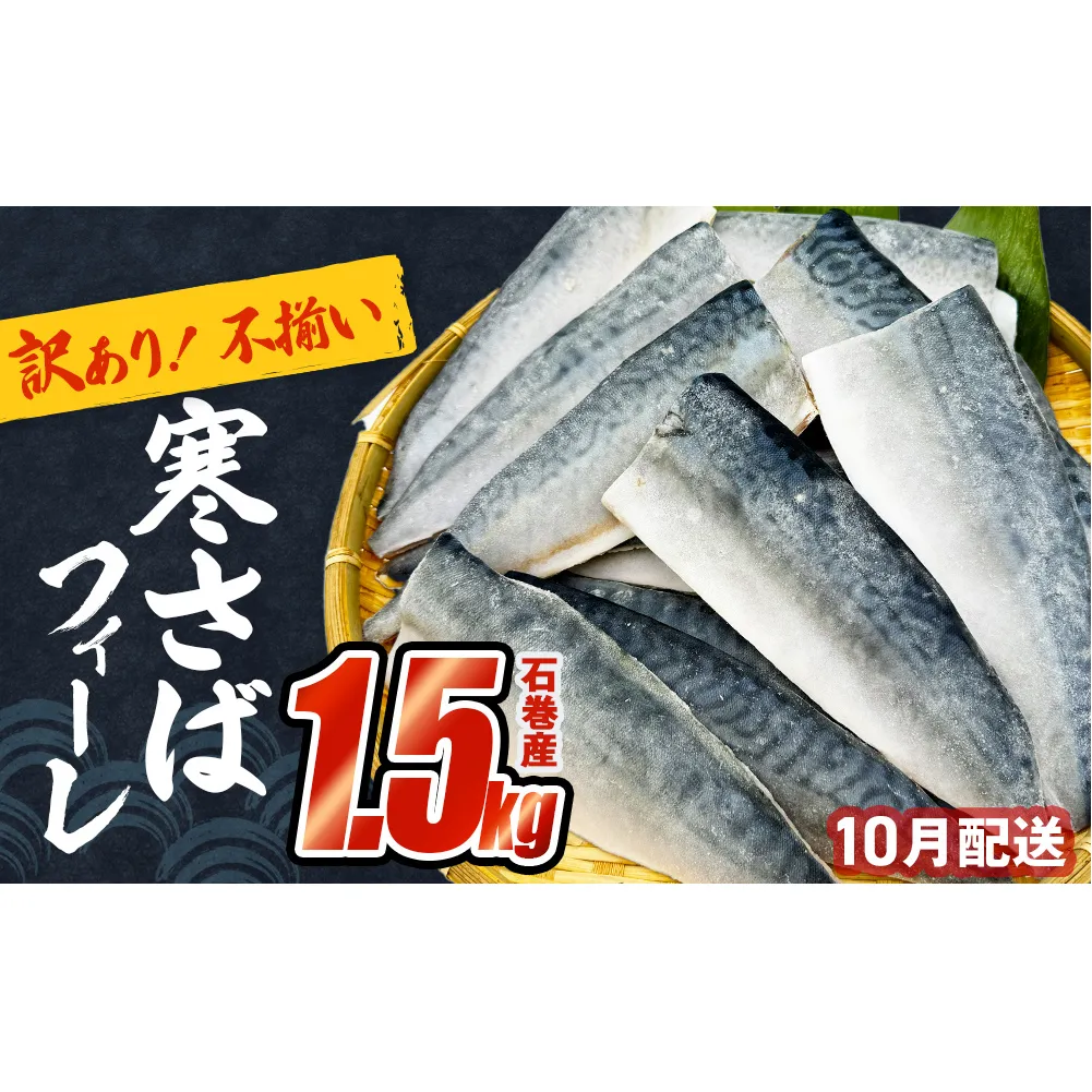 さば 〈 訳あり 〉10月配送 宮城県産 寒さば フィーレ 無塩 1.5kg 冷凍 魚 青魚 鯖 切身 焼魚 煮魚 わけあり 不揃い ご家庭用 食塩無添加 国産 鯖フィレ サバフィーレ 切り身 バラバラ冷凍 鯖の味噌味 宮城県 石巻市