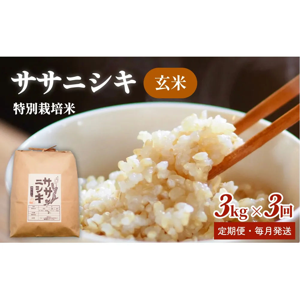 特別栽培米 ササニシキ 玄米 3kg × 3回 定期便 （合計9kg）