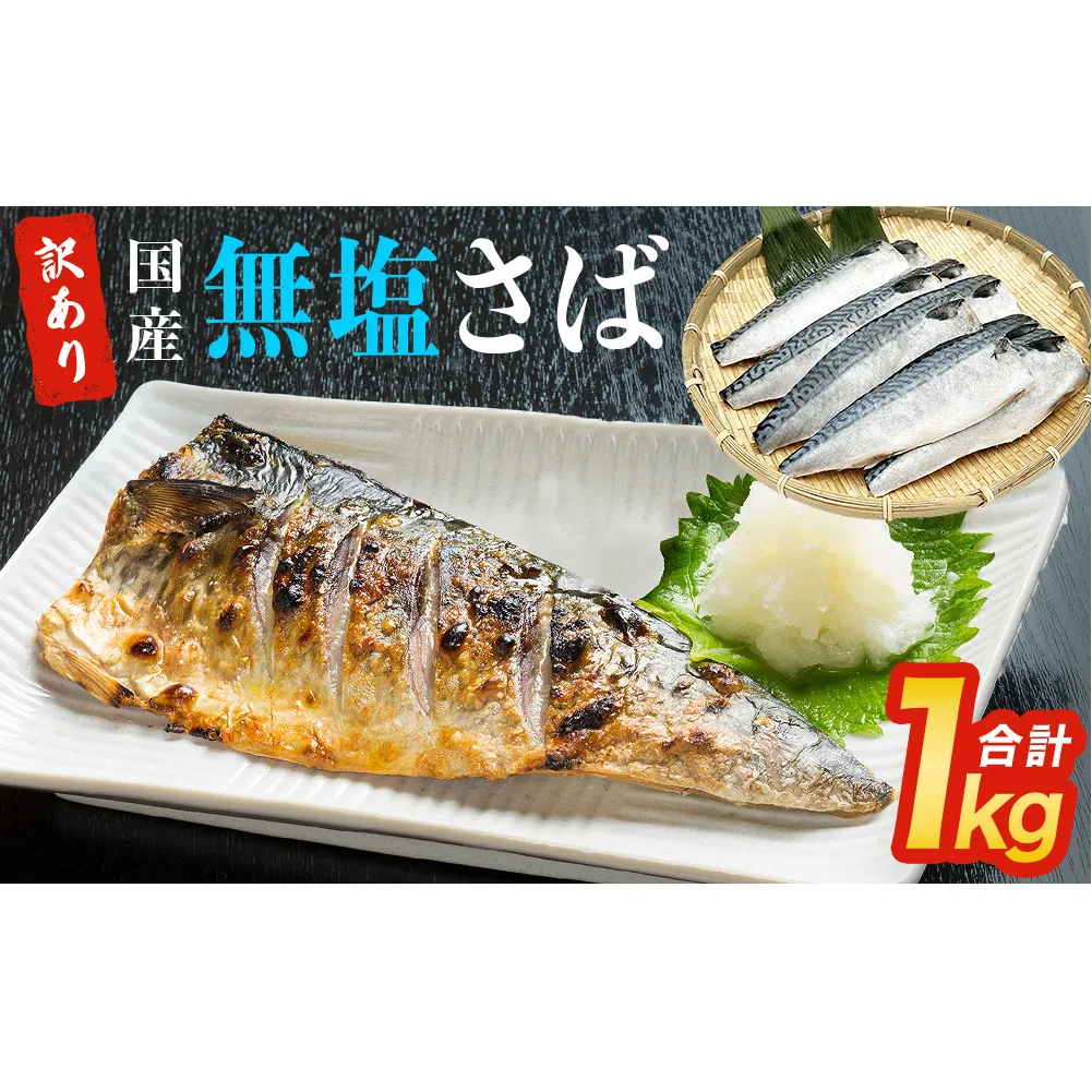 訳あり 無塩サバフィレ1.0kg（10枚前後） 冷凍 さば 鯖 不揃い 魚 お魚 焼き魚 煮魚 おかず お弁当 美味しい 簡単調理