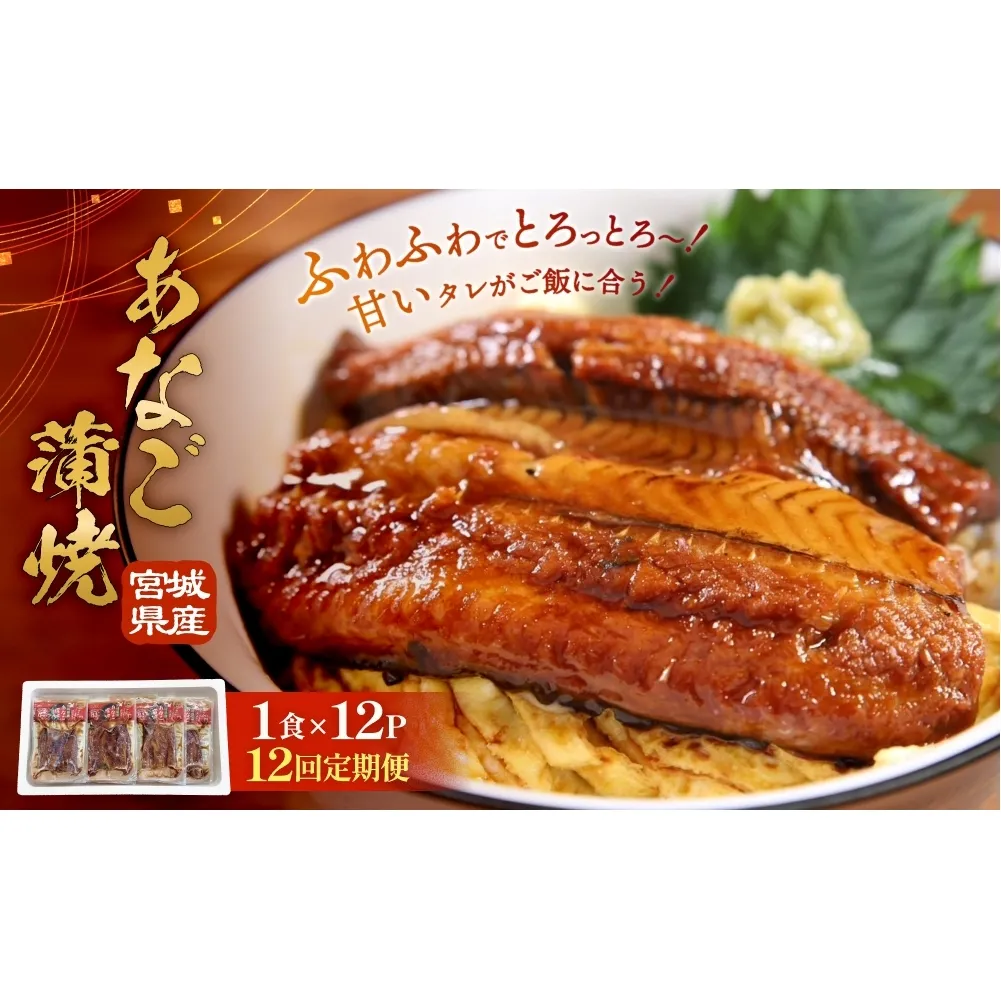 宮城県産あなご蒲焼（1食）12入 12回定期便 冷凍 小分け 穴子 アナゴ 蒲焼き 魚 お魚