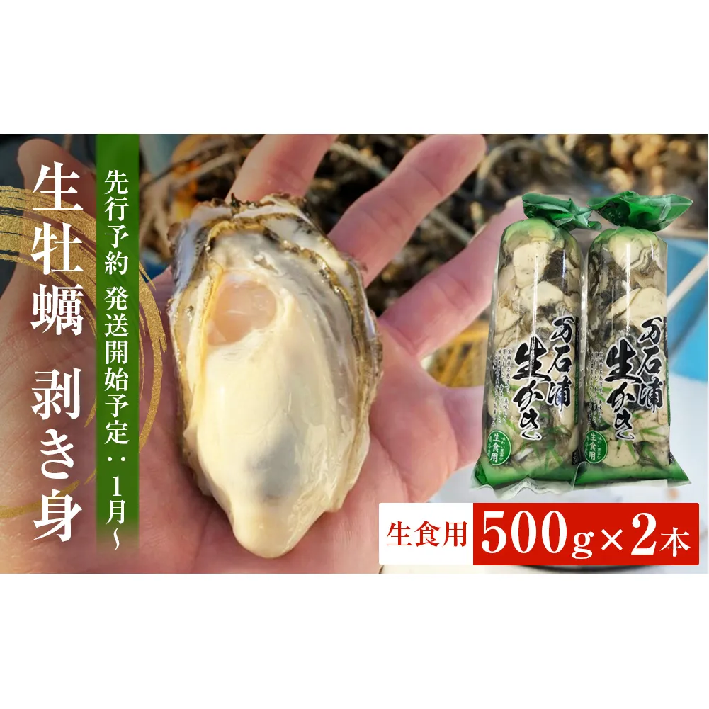 生牡蠣 牡蠣 生食用 かき剥き身 500g 2本入 水無し 生産者直送 かき 生食 魚介 魚介類