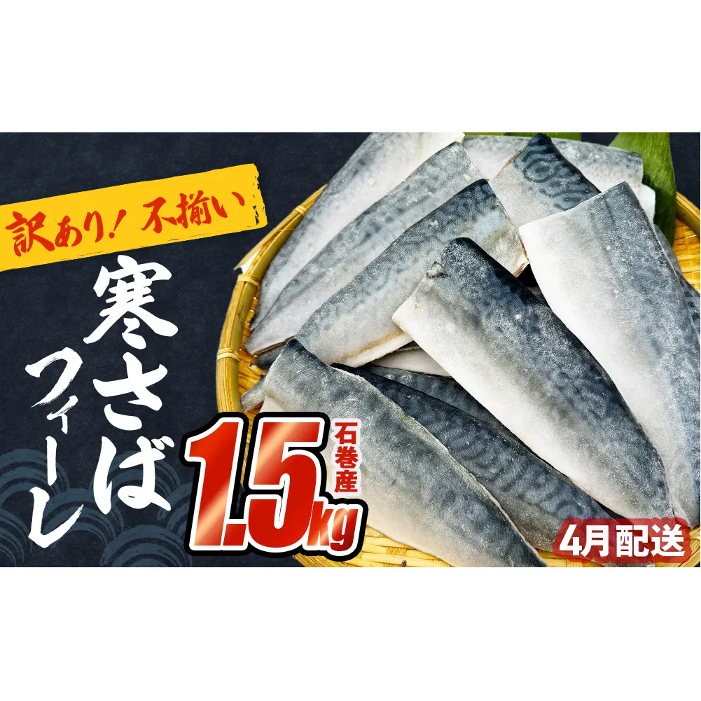 さば 〈 訳あり 〉4月配送 宮城県産 寒さば フィーレ 無塩 1.5kg 冷凍　魚 青魚 鯖 切身 焼魚 煮魚 わけあり 不揃い ご家庭用 食塩無添加 国産 鯖フィレ サバフィーレ 切り身 バラバラ冷凍 鯖の味噌味 宮城県 石巻市