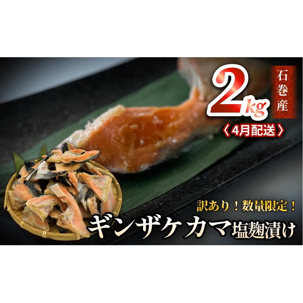 【数量限定】4月配送 訳あり ギンザケ カマ 塩麹漬け 石巻産 2kg 銀鮭 鮭カマ さけカマ ギンザケカマ 銀鮭カマ 塩麹漬けカマ 鮭 漬魚 サーモン 鮭 焼き魚 魚 焼魚