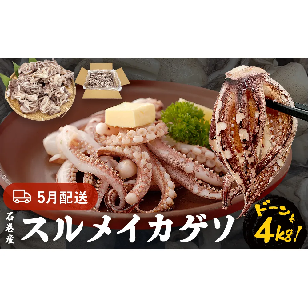 訳あり 石巻産スルメイカゲソ 4kg 5月配送 冷凍 国産 いか 下足 おつまみ ゲソ天 焼イカ おかず