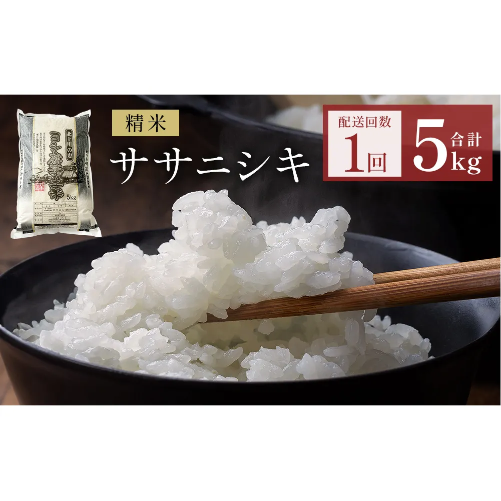 米 令和7年産 ササニシキ 精米 5kg 単品 こめ コメ お米 ご飯 白米 ささにしき