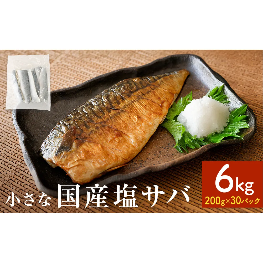 小さな 国産 塩サバ 6kg  ( 200g × 30パック ) 冷凍 サバ 鯖 魚 青魚 塩さば 切り身 ご家庭用 焼き魚 焼魚 おかず お弁当 焼くだけ 簡単調理 サバ フィレ 鯖フィレ サバフィーレ 切身 宮城県 石巻 石巻市
