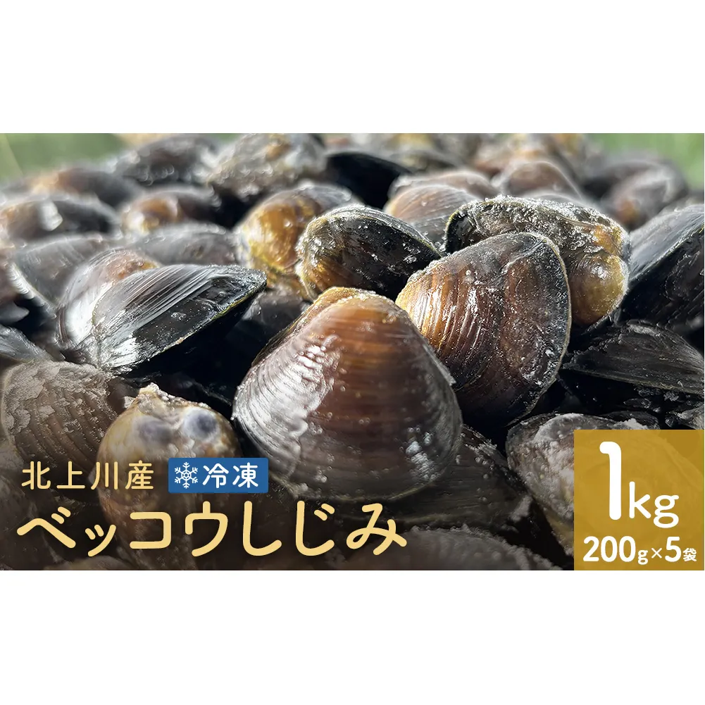 北上川産 冷凍 ベッコウしじみ 1kg ( 200g × 5袋 ) しじみ 海鮮 魚介類 貝 貝類 吸い物 砂抜き不要 味噌汁 蜆 国産 石巻産 宮城県産 宮城 石巻