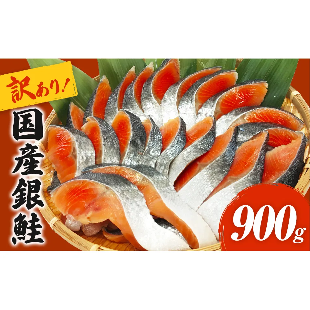 《訳あり》 産地直送！ 国産銀鮭 定塩切身 0.9kg