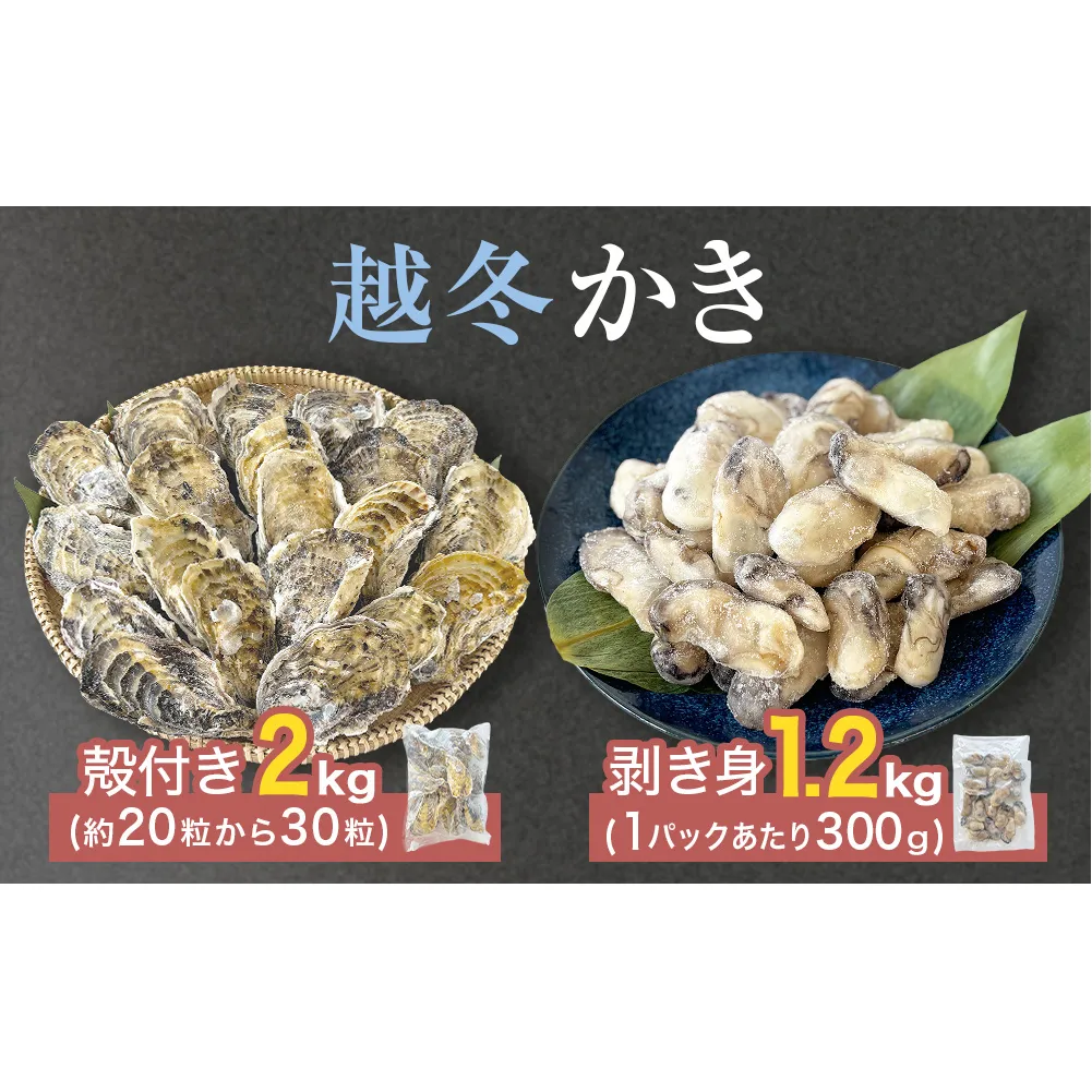 越冬かき剥き身 越冬殻付かき セット 加熱用 牡蠣 かき カキ 剥き身 むき身 殻付き 殻つき 貝 海鮮 魚介 魚介類 宮城県産 新鮮 急速冷凍 濃厚 宮城県 石巻市