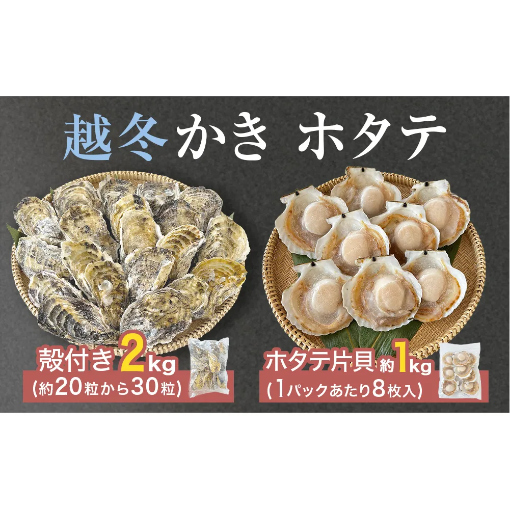 ホタテ片貝 越冬殻付かき 贅沢セット 加熱用 牡蠣 かき カキ 帆立 ホタテ ほたて 片貝 殻付き 殻つき 貝柱 貝 海鮮 魚介 魚介類 宮城県産 新鮮 急速冷凍 濃厚 宮城県 石巻市