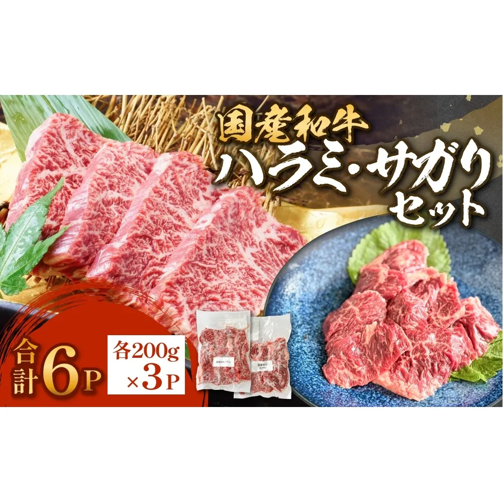 国産和牛 ハラミ サガリ セット 6P 国産 和牛 牛肉 肉 お肉 はらみ さがり 宮城県産 焼肉 バーベキュー 宮城県 石巻市