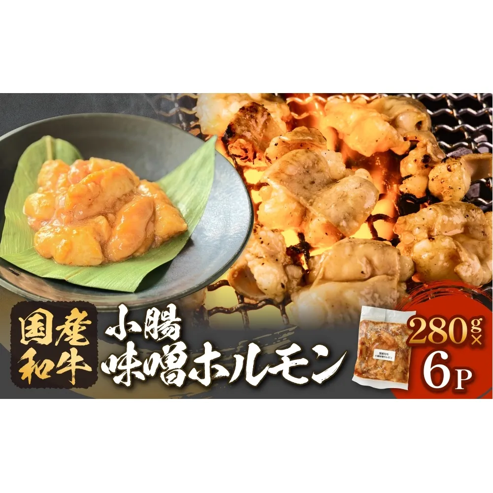国産和牛 味噌 ホルモン 6P 味噌ホルモン 牛ホルモン 小腸 国産 宮城県産 味付 モツ 和牛 肉 お肉 牛肉 牛 内臓 宮城県 石巻市