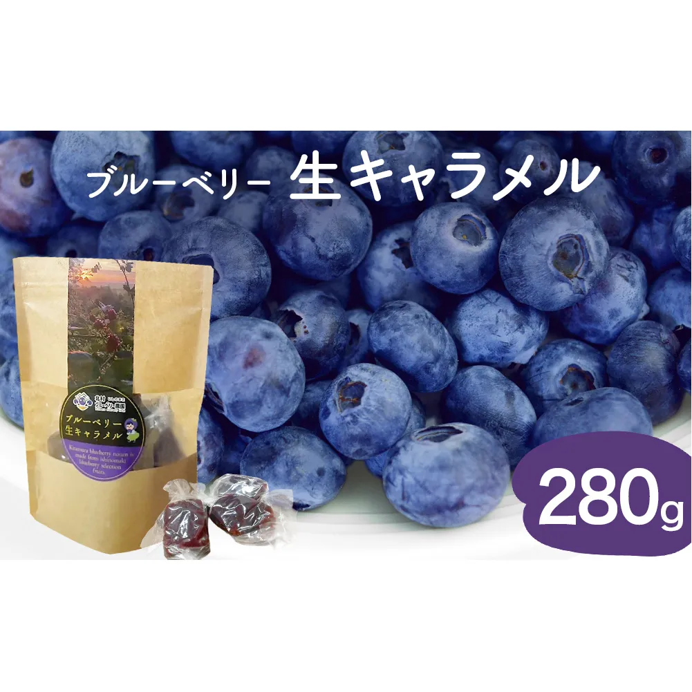 ＜ 先行予約 ＞ ブルーベリー 生キャラメル 280g 無添加 摘みたて 自然栽培 手作り 果実 100% キャラメル アントシアニン トッピング 石巻市産 宮城県 石巻市