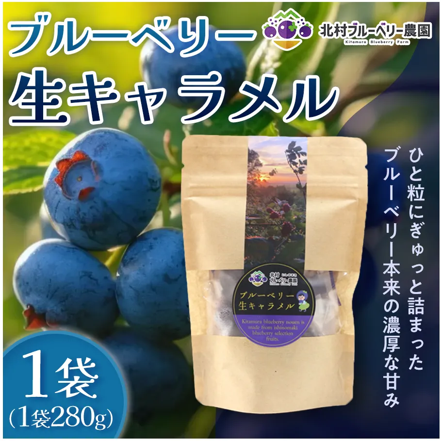 ＜ 先行予約 ＞ ブルーベリー 生キャラメル 280g 無添加 摘みたて 自然栽培 手作り 果実 100% キャラメル アントシアニン トッピング 石巻市産 宮城県 石巻市