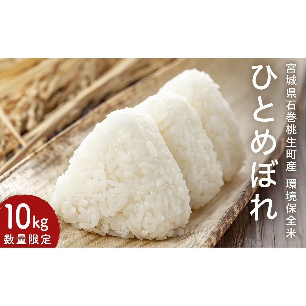 米 新米 ひとめぼれ 環境保全米 10kg お米 ご飯 こめ コメ おこめ ヒトメボレ 宮城県 石巻市 桃生町産