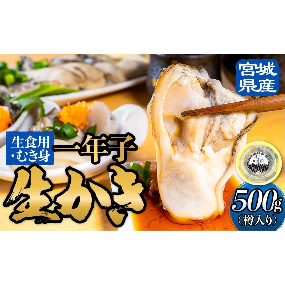 【宮城県産 生食用牡蠣】 一年子生カキ むき身 500g かき カキ 剥き身 生牡蠣 プリプリ 濃厚