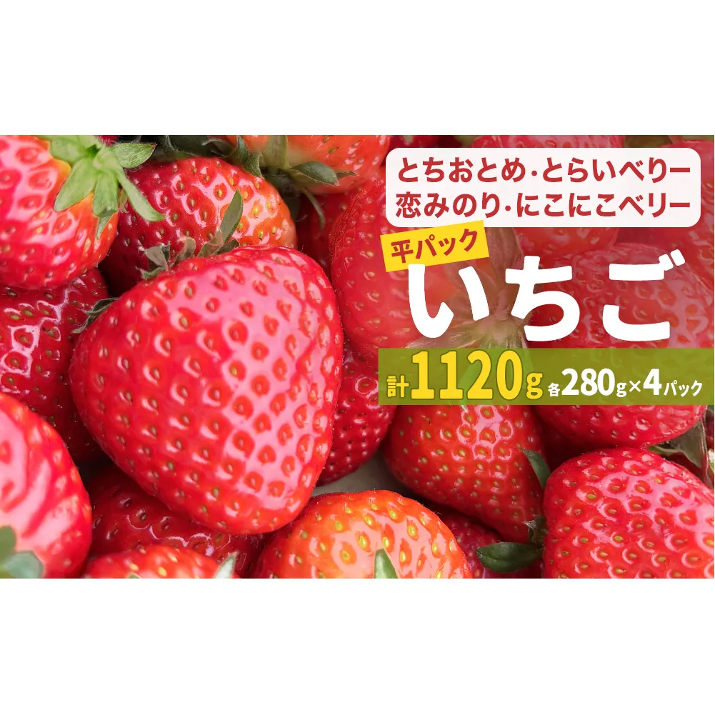 【2026年1月中旬発送開始】 いちご とちおとめ 恋みのり にこにこベリー とらいべりー 280g × 4  平パック 苺 イチゴ フルーツ 果物 ストロベリー ベリー デザート 甘み 酸味 宮城県 石巻市