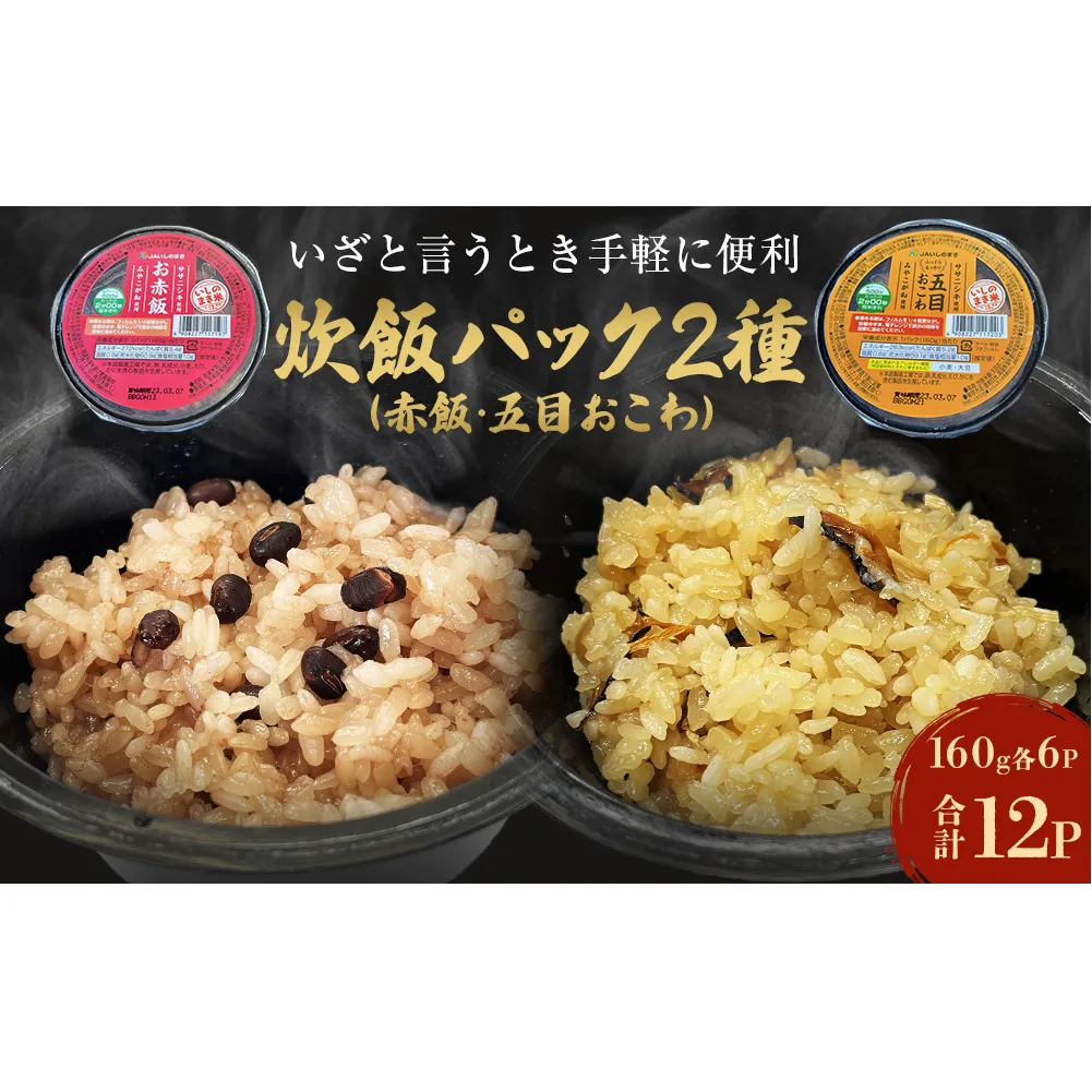 パックご飯２種セット 160g 12個 赤飯 五目ごはん ご飯 ご飯パック 炊飯パック 簡単調理 備蓄 非常食