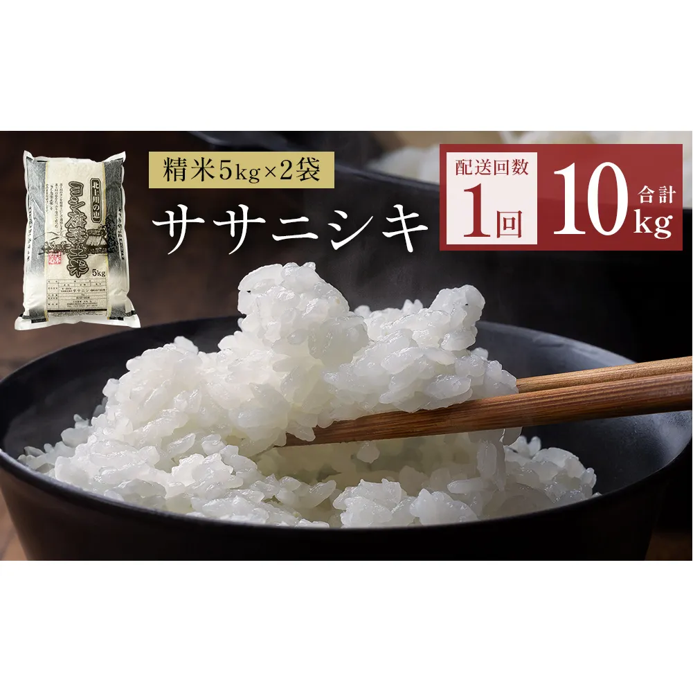 令和7年産 ササニシキ 精米 10kg（5kg×2）単品
