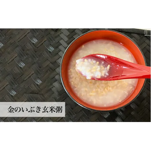 金のいぶき玄米粥6パックセット 米 玄米 おかゆ 玄米食 こめ 非常食 備蓄 保存食 防災減災