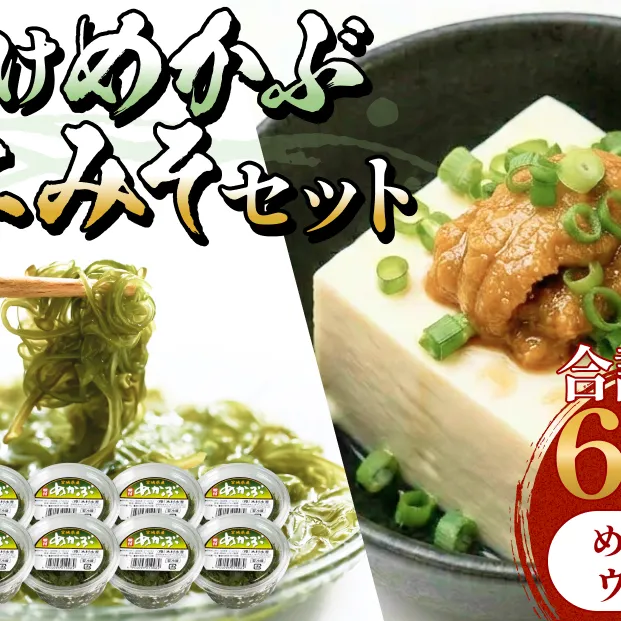 味付けめかぶ ウニみそ セット めかぶ うに 味噌 濃厚 ご飯のお供 メカブ 雲丹 海鮮 海産物 宮城県 宮城 石巻市 石巻