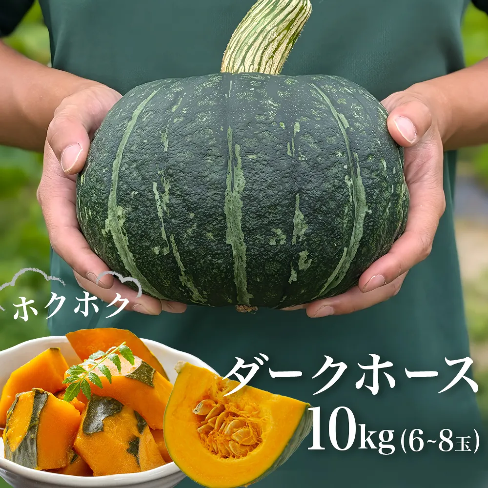 石巻伝承野菜 かぼちゃ ダークホース 10キロ 6～8玉 カボチャ 南瓜 野菜 石巻産 国産 甘い 濃厚 おかず スープ 宮城県 宮城 石巻市 石巻