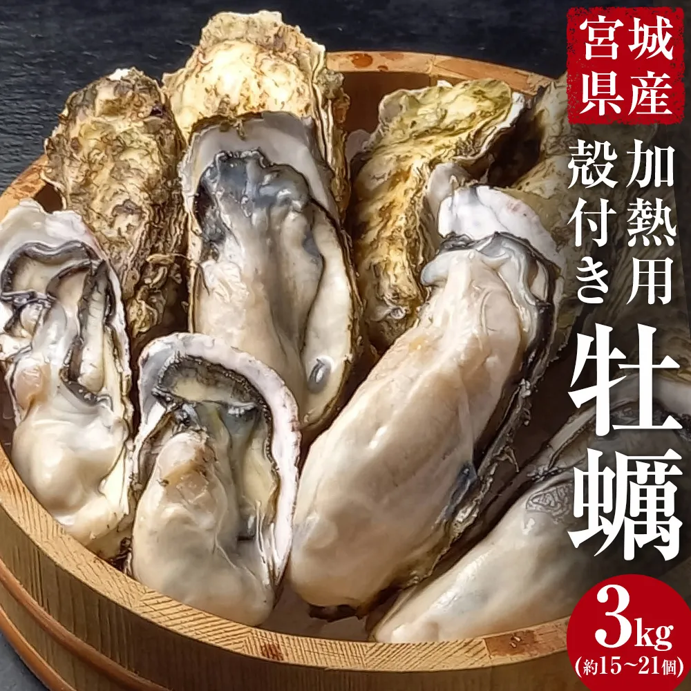 牡蠣 宮城県産 選別済み 3kg 加熱用 真牡蠣 かき カキ 貝 貝類 海産物 魚介類 海鮮 冷凍 宮城県 宮城 石巻市 石巻