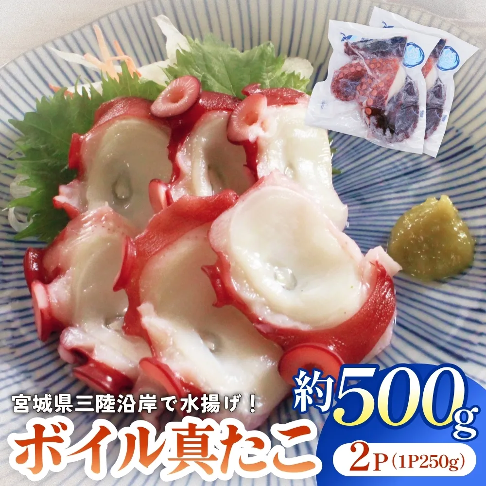 真たこ ボイル  約 500g 蛸 たこ タコ ボイル済み 冷凍 小分け CAS凍結 海鮮 魚介類