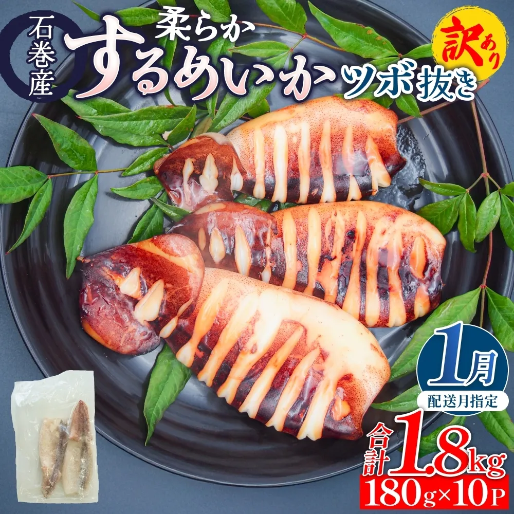 【1月配送】 訳あり 石巻産 柔らか するめいか ツボ抜き 180g × 10P スルメイカ いか イカ 烏賊 不揃い 小分け 下処理済み 時短調理 こだわり 冷凍 海鮮 魚介 おかず おつまみ 煮物 焼きイカ BBQ バーベキュー 宮城県 石巻市