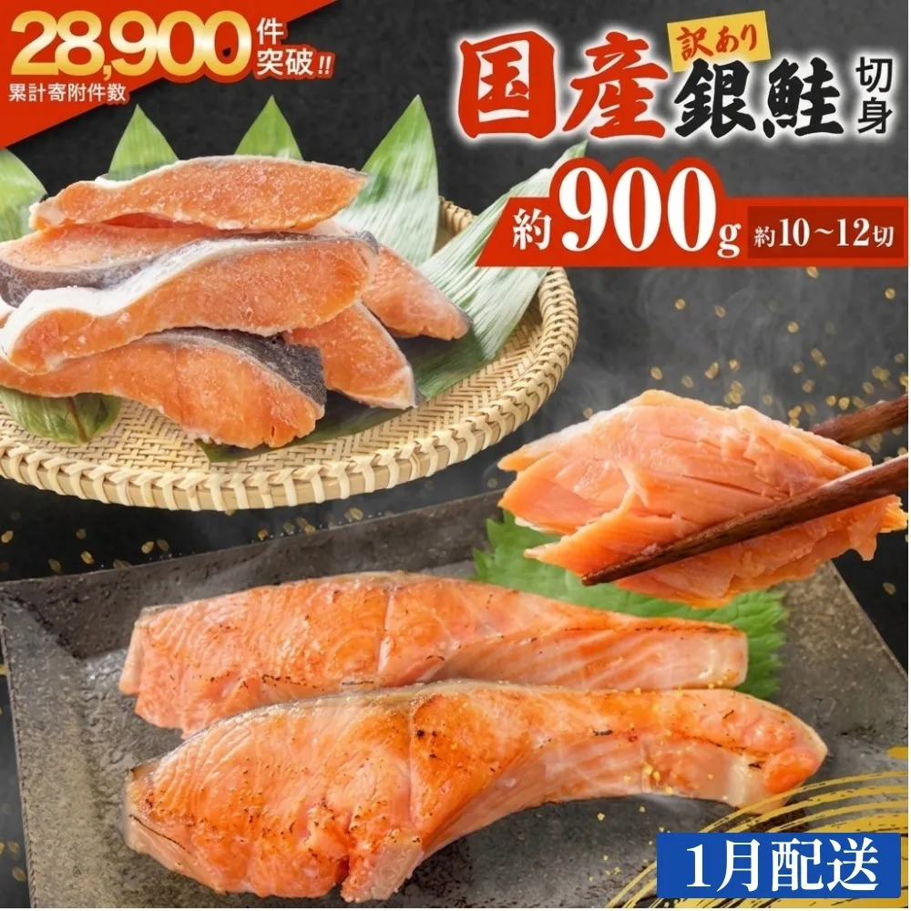 【1月配送】 訳あり 国産 銀鮭 0.9kg 定塩 切身｜ 冷凍 鮭 サーモン 不揃い ご家庭用 塩鮭 しゃけ シャケ 焼き魚 宮城県 石巻市 魚介類 魚 海産物