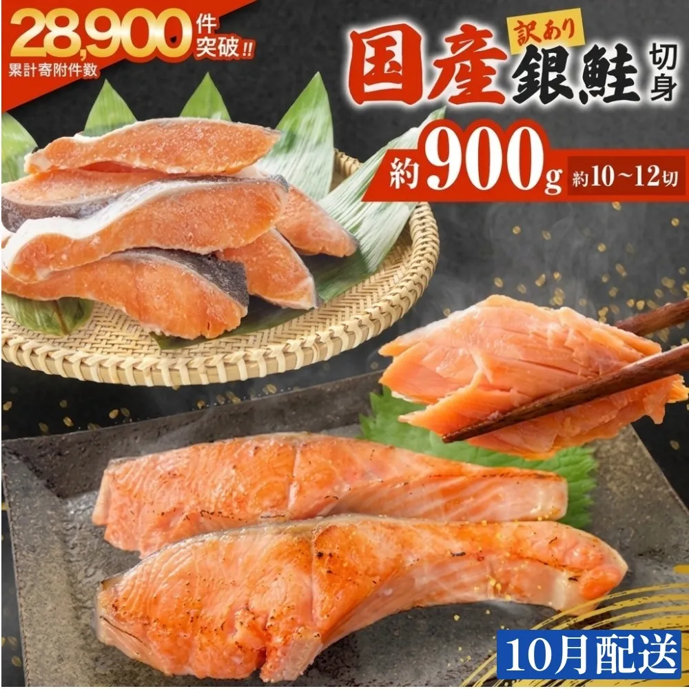 [10月配送] 訳あり 国産 銀鮭 0.9kg 定塩 切身| 冷凍 鮭 サーモン 不揃い ご家庭用 塩鮭 しゃけ シャケ 焼き魚 宮城県 石巻市 魚介類 魚 海産物