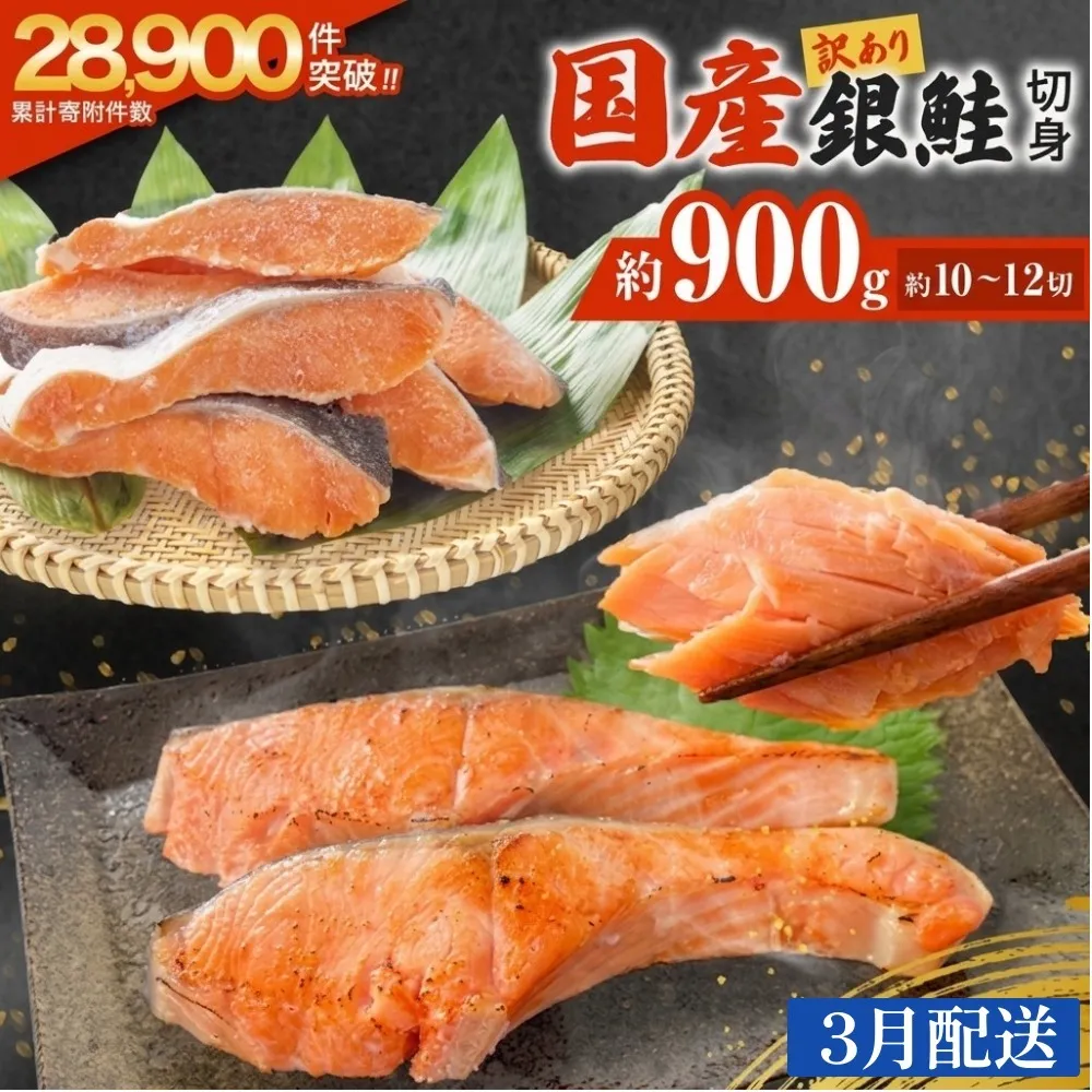 【3月配送】 訳あり 国産 銀鮭 0.9kg 定塩 切身｜ 冷凍 鮭 サーモン 不揃い ご家庭用 塩鮭 しゃけ シャケ 焼き魚 宮城県 石巻市 魚介類 魚 海産物