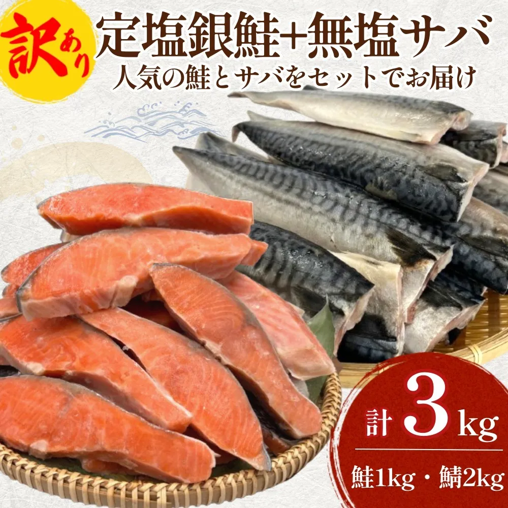 《訳あり》  定塩銀鮭 約 1kg  / 無塩サバフィレ 約 2kg 切り身 セット 合計 3kg 食べ比べ 詰め合わせ 鮭 サバ 塩鮭 甘塩 無塩さば おかず お弁当 切身 焼き魚 宮城県 石巻市