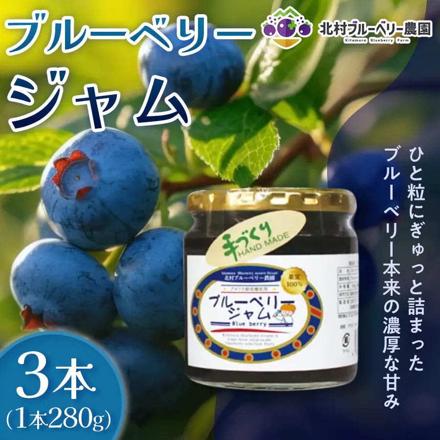 ブルーベリージャム 280g × 3本 ブルーベリー ジャム 自然栽培 無農薬 化学肥料不使用 冷蔵 ベリー 国産 フルーツ 果物 宮城県 石巻市 宮城 石巻