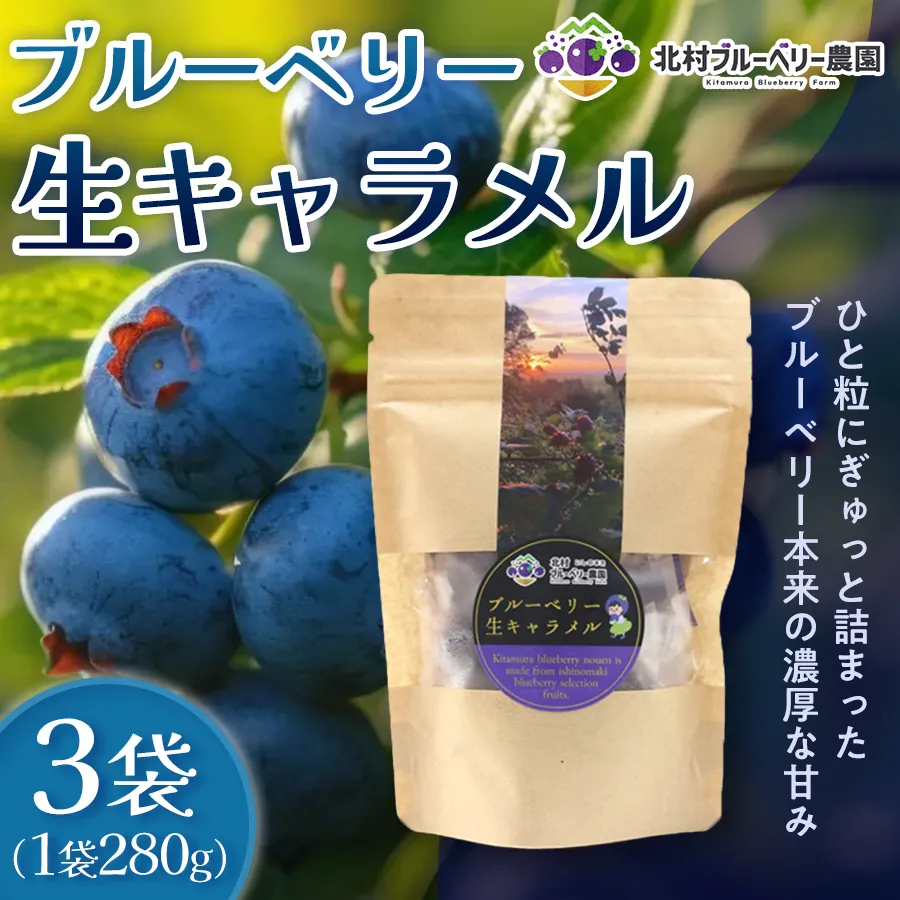 ブルーベリー生キャラメル 280g × 3袋 ブルーベリー キャラメル 生キャラメル 自然栽培 無農薬 化学肥料不使用 冷蔵 ベリー 国産 フルーツ 果物 宮城県 石巻市 宮城 石巻