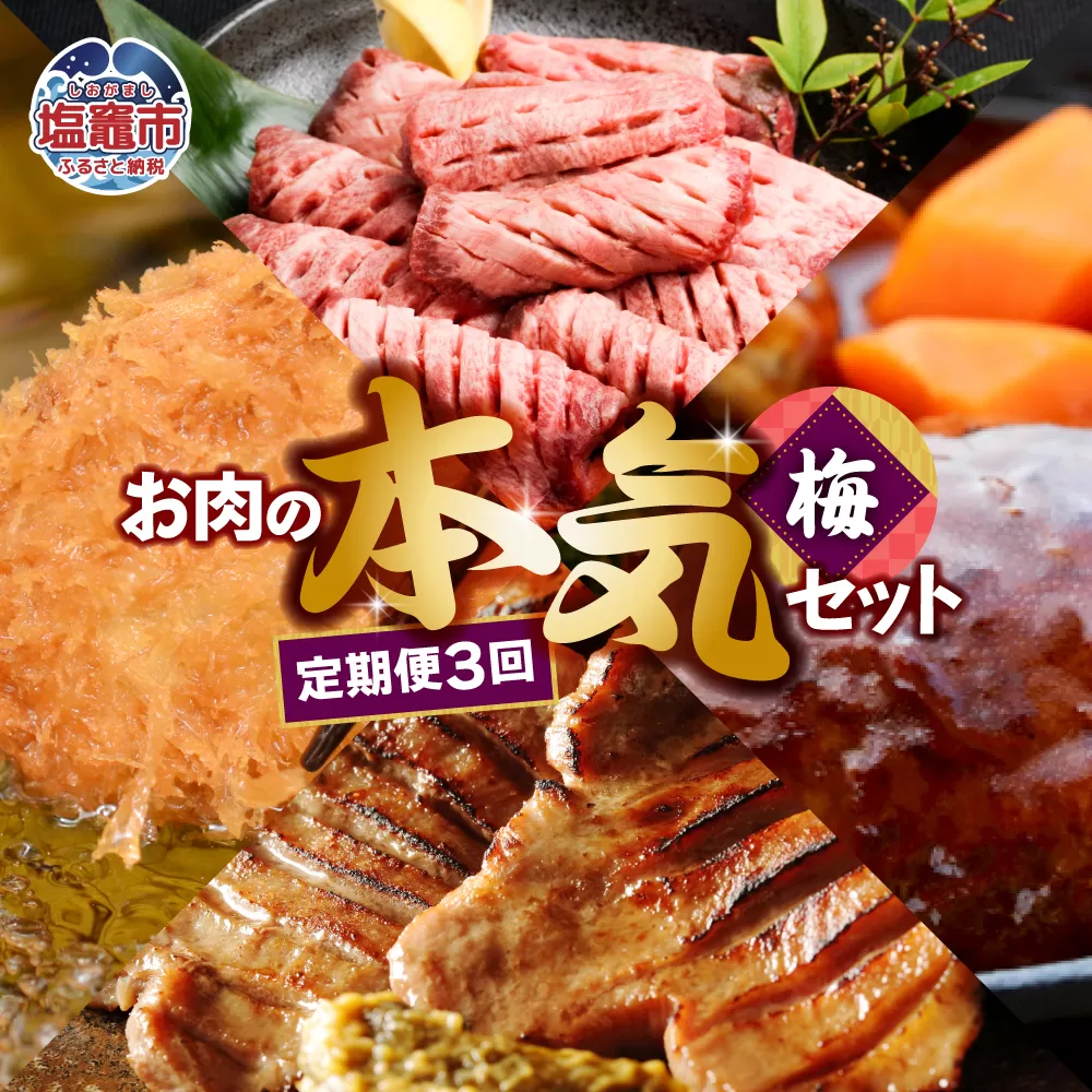 定期便 お肉屋さんのお肉の本気詰合せセット・梅＜全3回＞　 5011849
