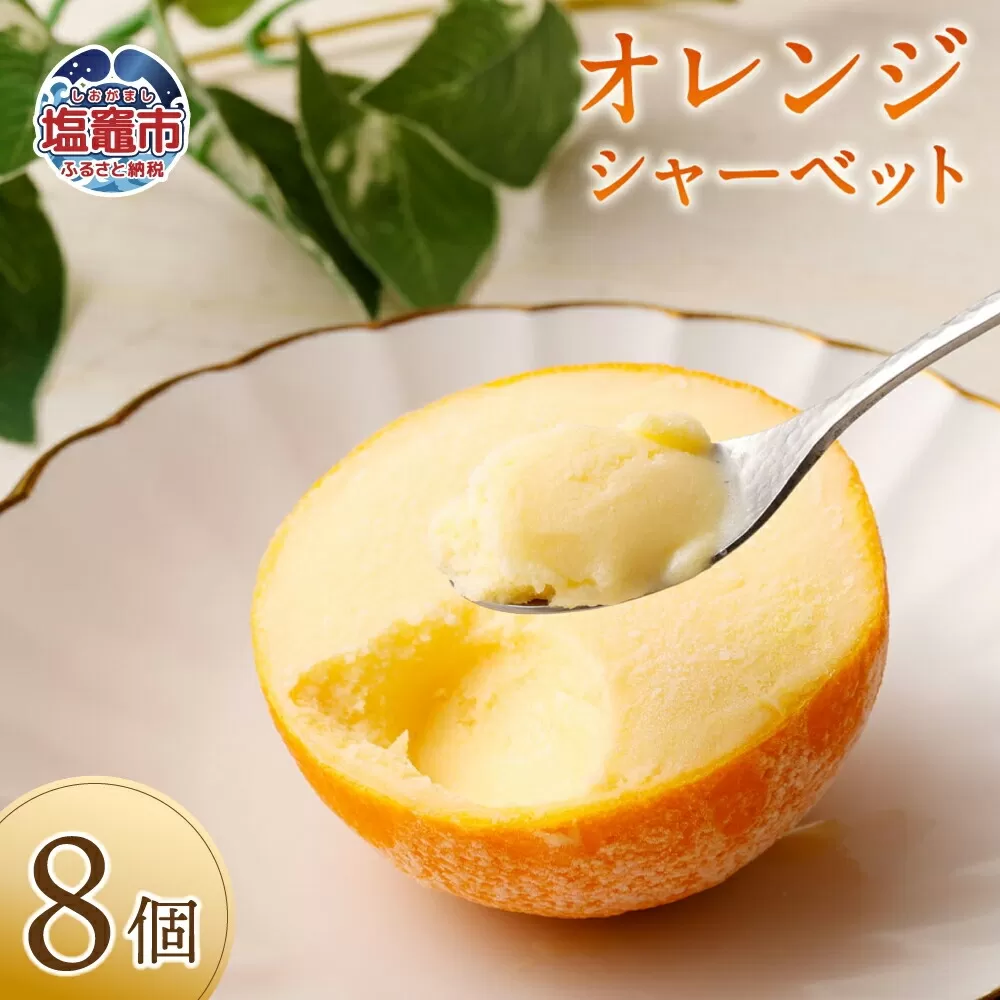 オレンジシャーベット8個入り 4504494