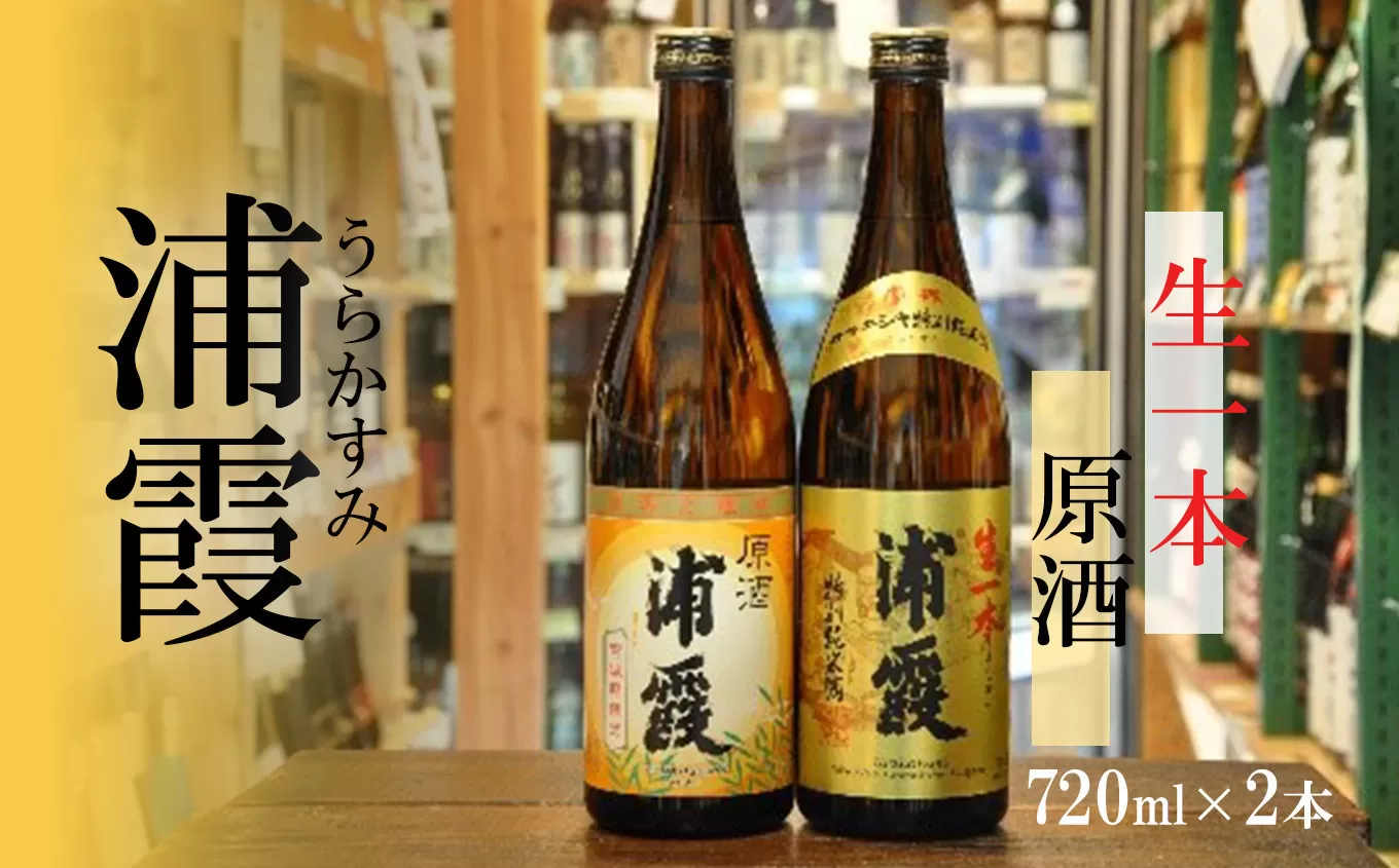 浦霞生一本・原酒セット 4975522
