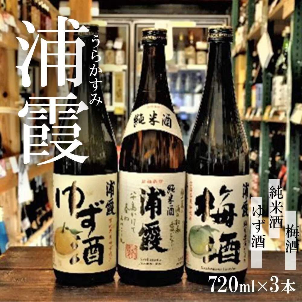 塩竈 浦霞BASE純米セット 4525763