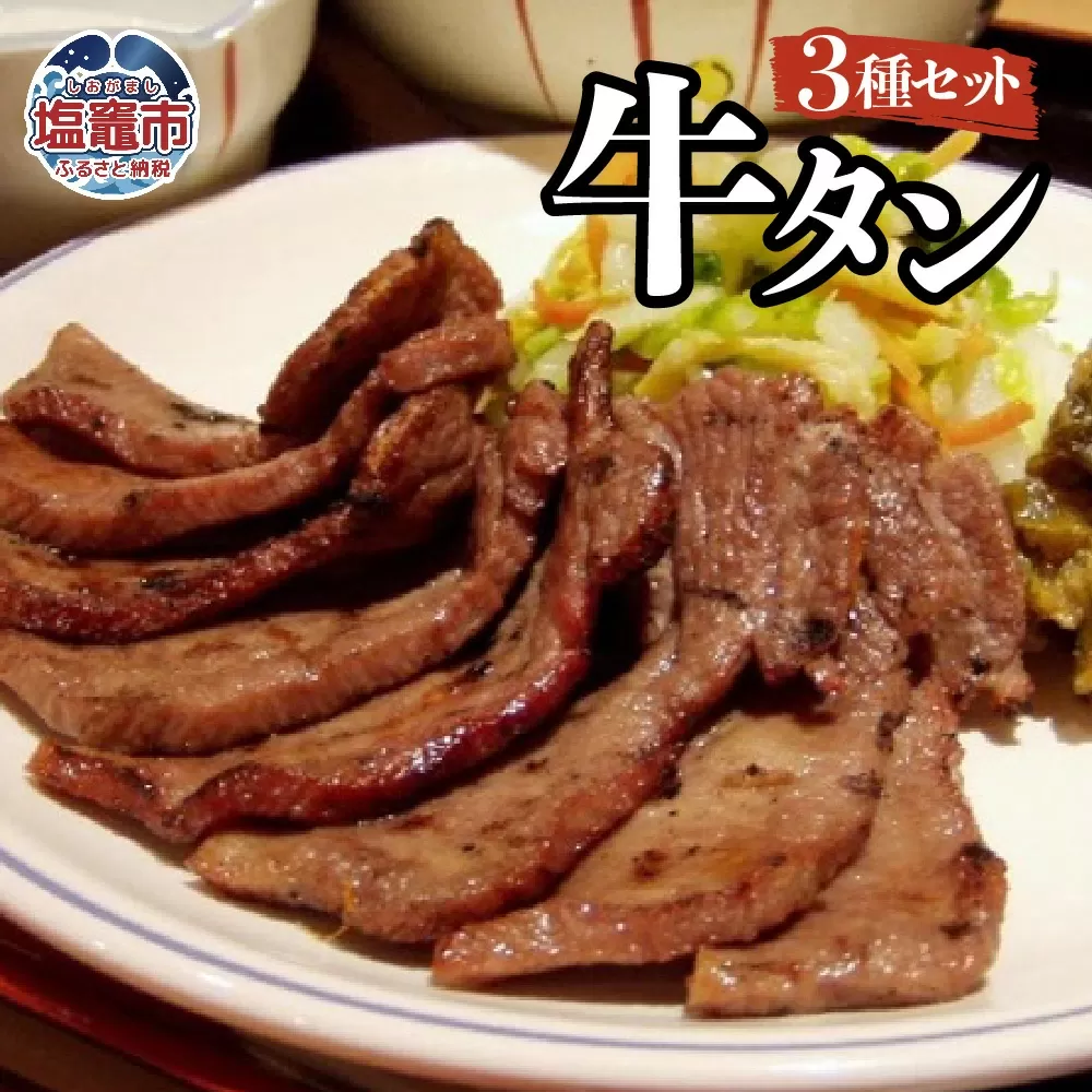 塩・みそ・ねぎ塩 牛たん3種セット(各1パック × 3種) r6-4821392 塩竈市 塩釜 五光食品 株式会社