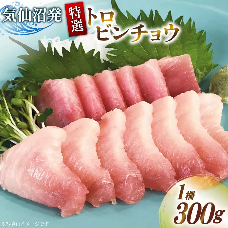特撰 トロビンチョウ 300g [川印 村田漁業 宮城県 気仙沼市 20563396] 魚介類 魚貝 魚介 鮪 まぐろ マグロ トロ びんちょう ビンチョウ