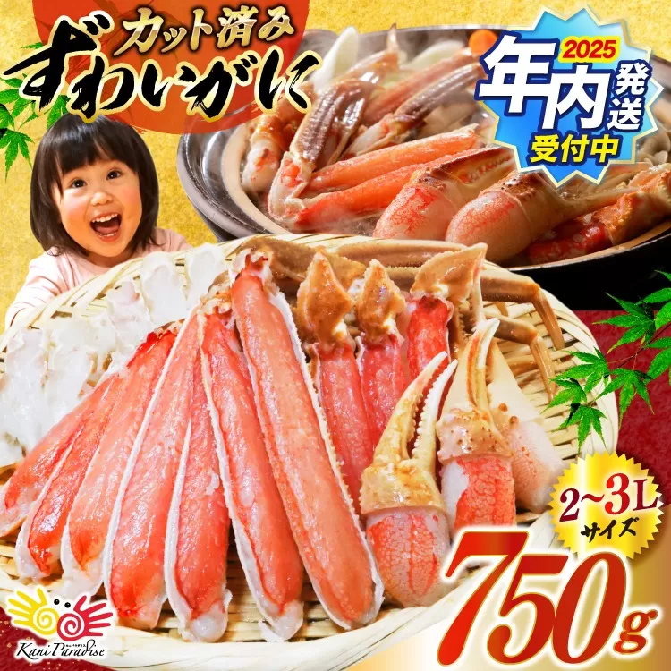 【2025 年内配送】 カット済 生 ずわいがに むき身 セット 総重量 750g (正味重量600g) 2-3Lサイズ [カネダイ 宮城県 気仙沼市 20565652] かに カニ ズワイガニ ずわい ズワイ 蟹 棒肉 ポーション かに鍋 かにしゃぶ 生ずわい