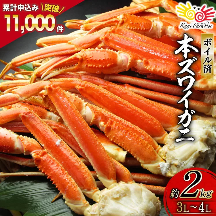 ボイル済み 本ずわいがに 脚 3L〜4L 総重量 2kg [カネダイ 宮城県 気仙沼市 20564764] カニ 蟹 ズワイガニ ずわい蟹 ズワイ蟹 ずわい ズワイ 海鮮 魚介類 カニ脚 蟹脚 足 ボイル ご褒美