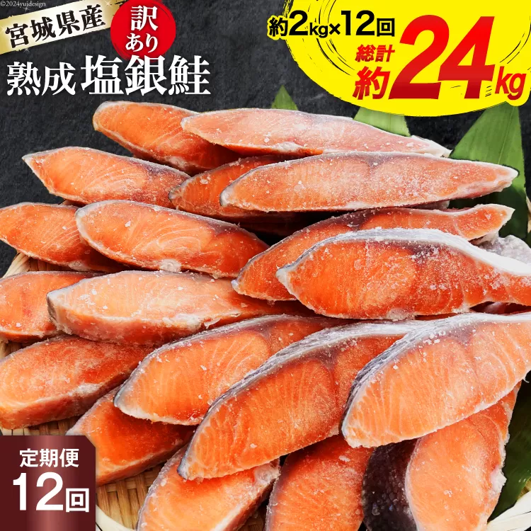 定期便 《12ヶ月連続お届け》 訳あり 宮城県産 熟成 銀鮭 切身 約2kg×12回 計24kg [宮城東洋 宮城県 気仙沼市 20564498] 魚 鮭 海鮮 国産 さけ 鮭 甘口 サケ 鮭切身 シャケ 切り身 冷凍 おかず 弁当 支援 事業者支援 サーモン